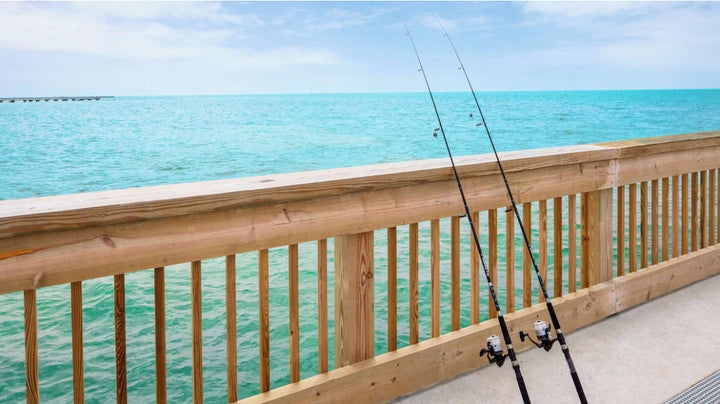 Fishing, Cooking & Romance: Where the Catch Becomes the Story