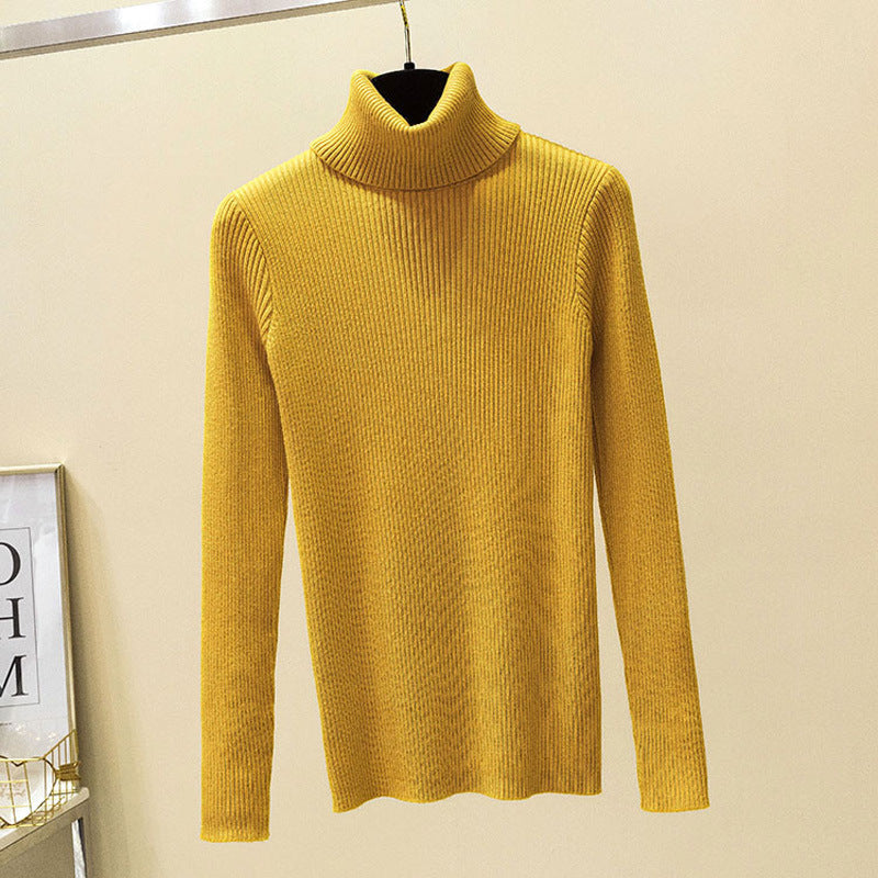 Turtleneck Sweater Warm