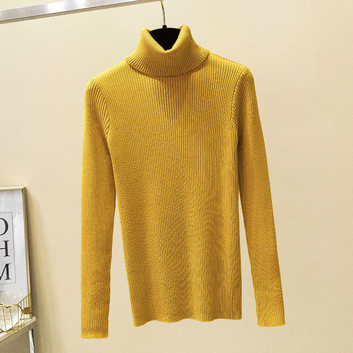 Turtleneck Sweater Warm