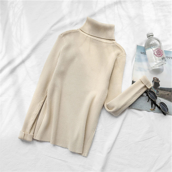 Turtleneck Sweater Warm
