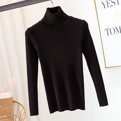 Turtleneck Sweater Warm