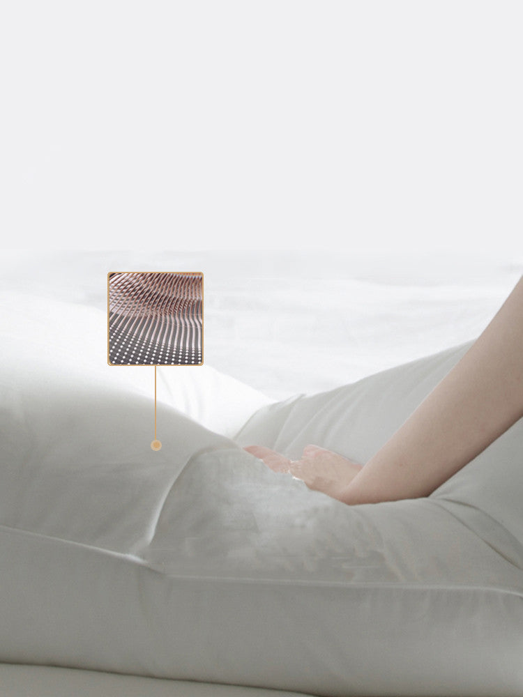 Goose feather back pillow
