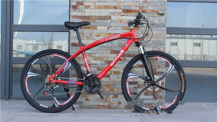 Cross Country Mountain Bike Double Disc Brake