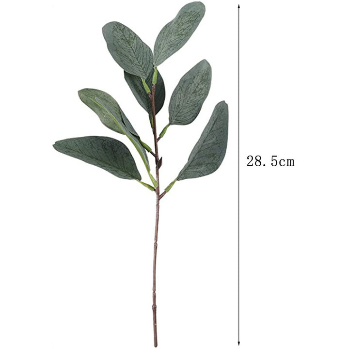 Simulation Eucalyptus Cutting Short Branch Nordic Eucalyptus Leaves