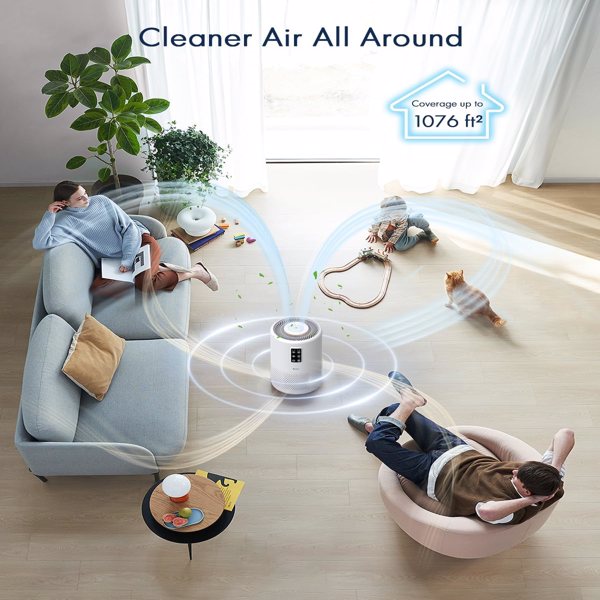 Large Room Air Purifier