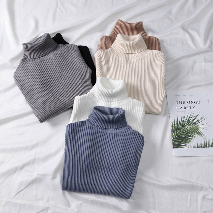 Turtleneck Sweater Warm