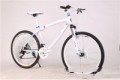 Cross Country Mountain Bike Double Disc Brake