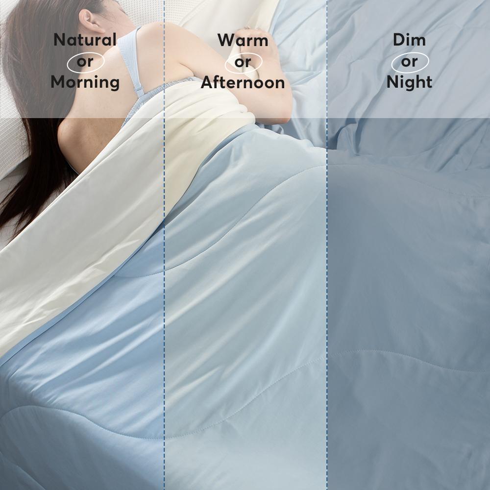 Kasentex All Season Ultra Soft Cooling Blanket Comforter, Hypoallergenic and Breathable, Room Decor, Graduation Gifts