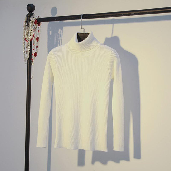 Turtleneck Sweater Warm
