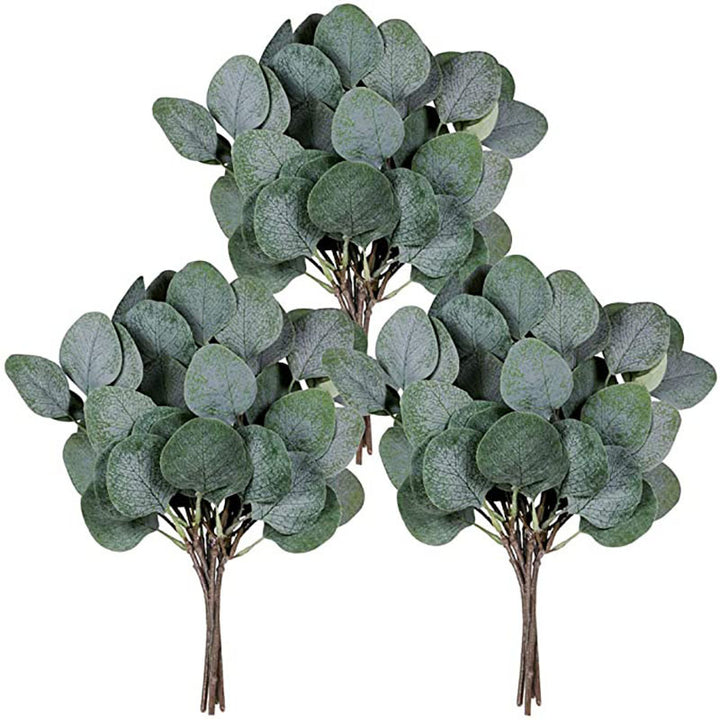 Simulation Eucalyptus Cutting Short Branch Nordic Eucalyptus Leaves