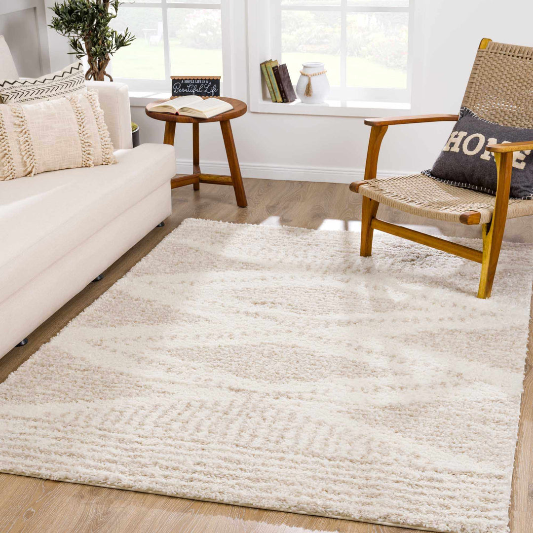 Trunding Plush Area Rug in Light Beige
