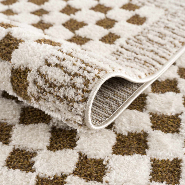 Leryn Brown & White Checkered Area Rug