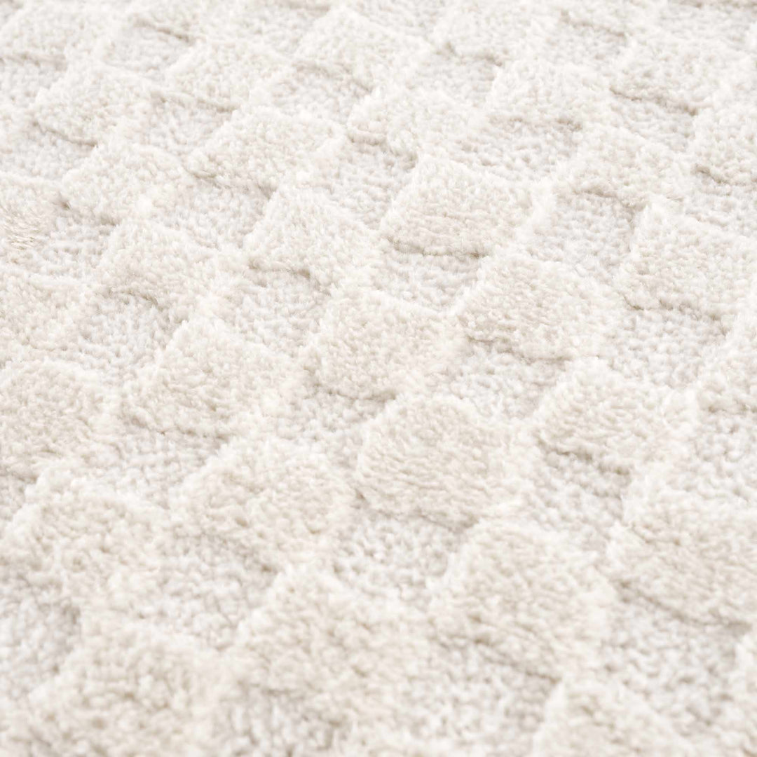 Leryn Ivory Checkered Area Rug