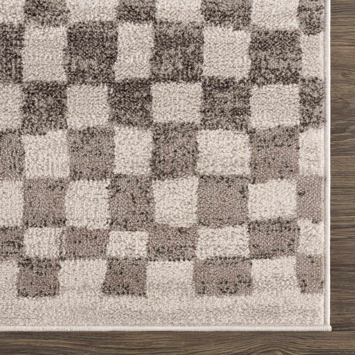 Benjy Beige Checkered Area Rug
