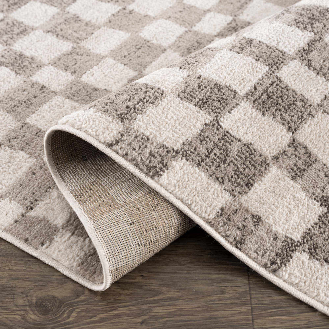 Benjy Beige Checkered Area Rug