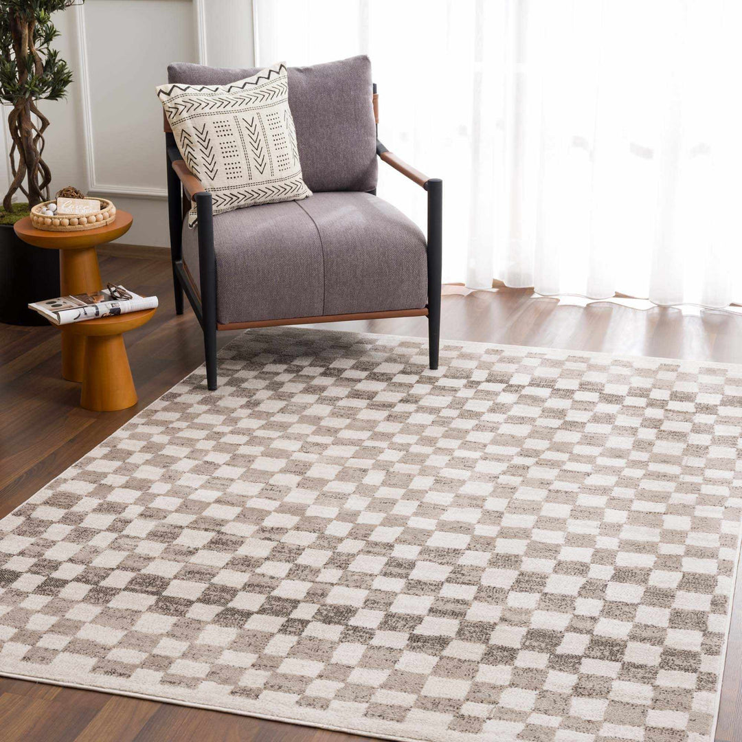 Benjy Beige Checkered Area Rug