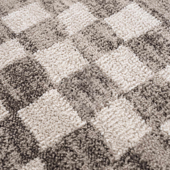 Benjy Beige Checkered Area Rug