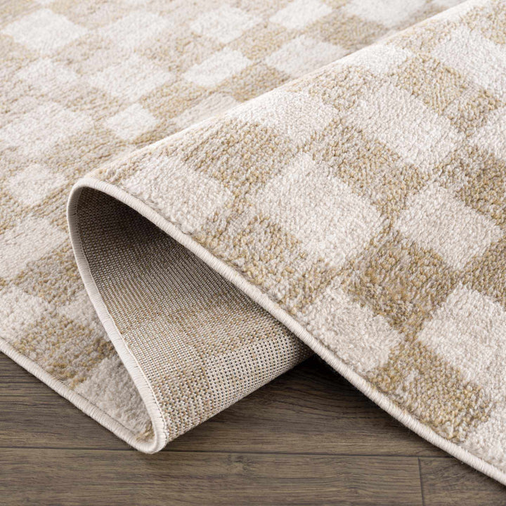 Benjy Cream & Gold Checkered Area Rug