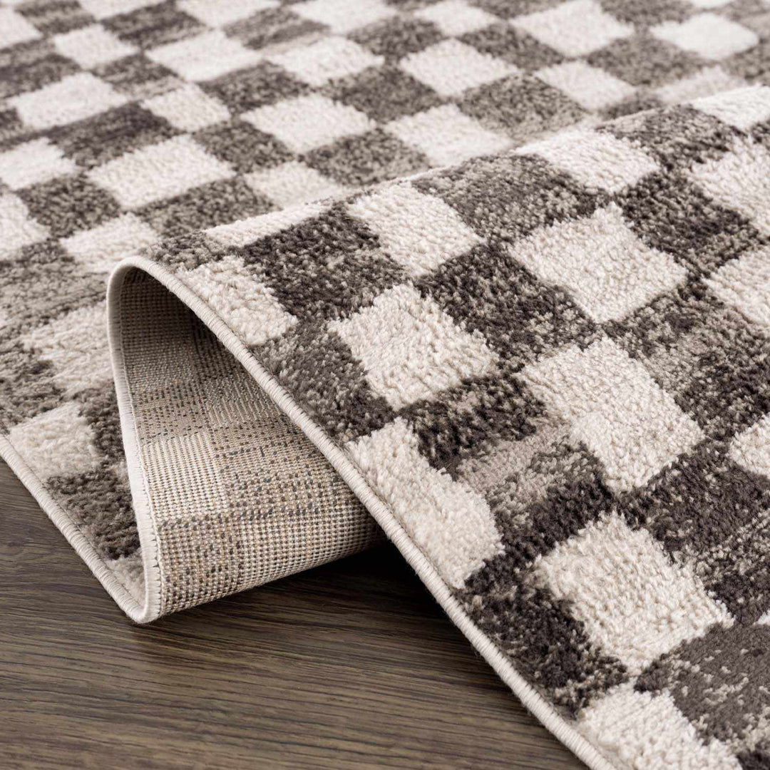 Benjy Cream & Charcoal Checkered Area Rug