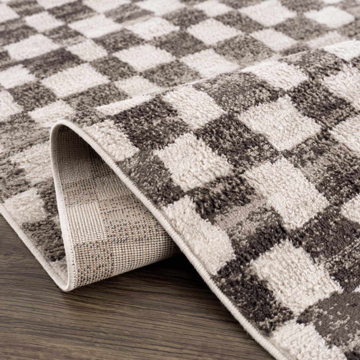 Benjy Cream & Charcoal Checkered Area Rug