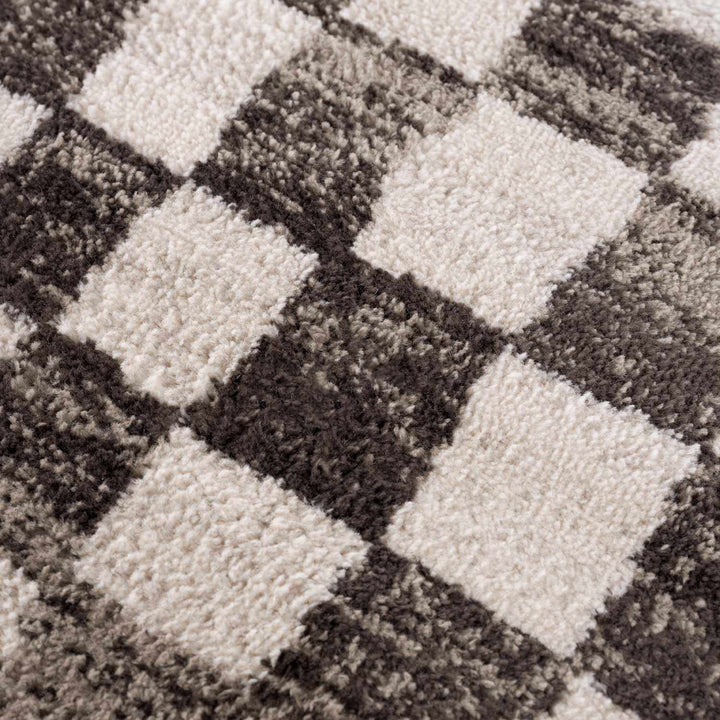 Benjy Cream & Charcoal Checkered Area Rug