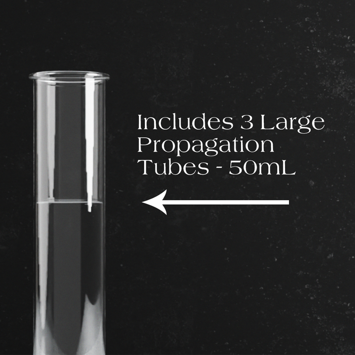 Dynamic Propagation Station
