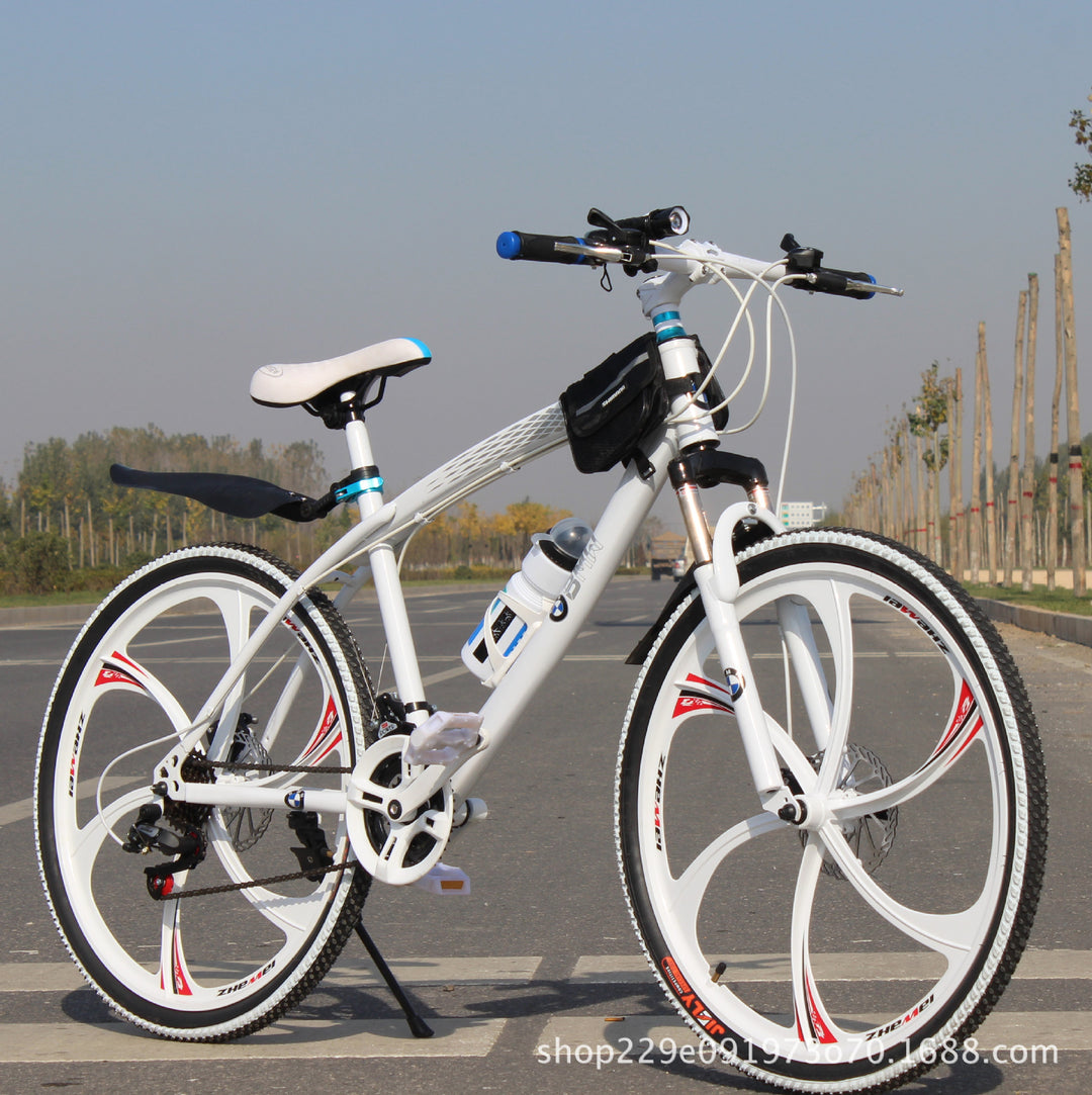 Cross Country Mountain Bike Double Disc Brake