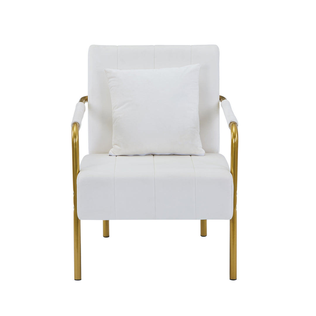 Velvet Accent Chair