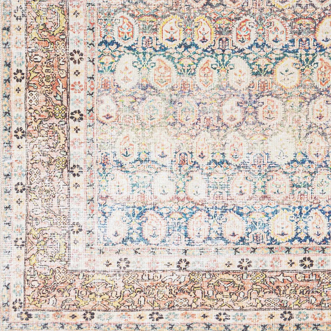 Rust Maligaya Distressed Washable Area Rug