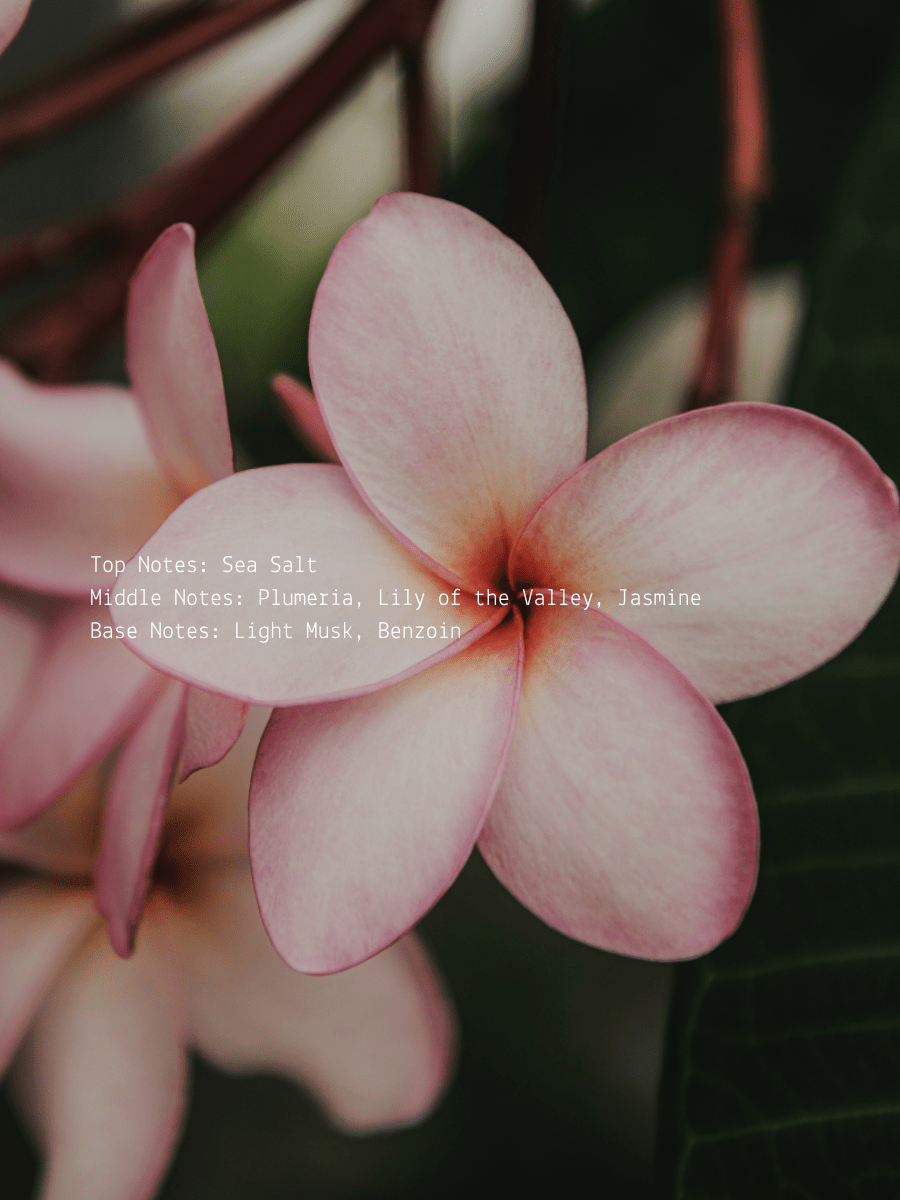 Plumeria + Sea Salt Jasmine Full Bloom Wellness Candle