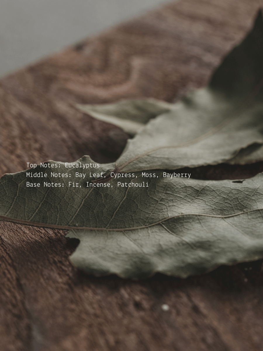 Cypress + Bay Leaf Abundance Wellness Candle