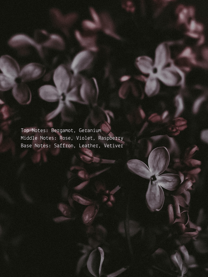 Black Violet + Saffron Shadow Work Wellness Candle