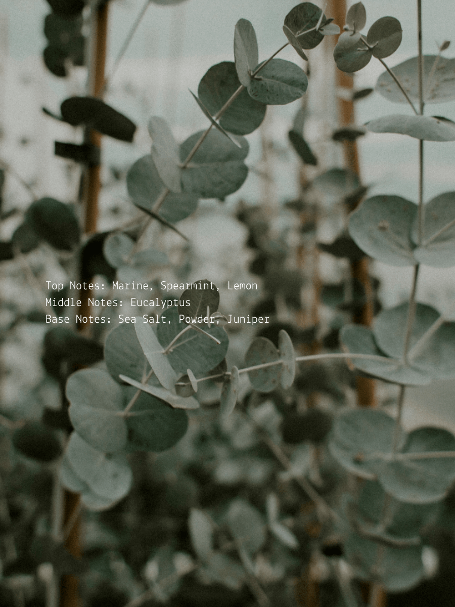 Marine Eucalyptus + Juniper Release Wellness Candle