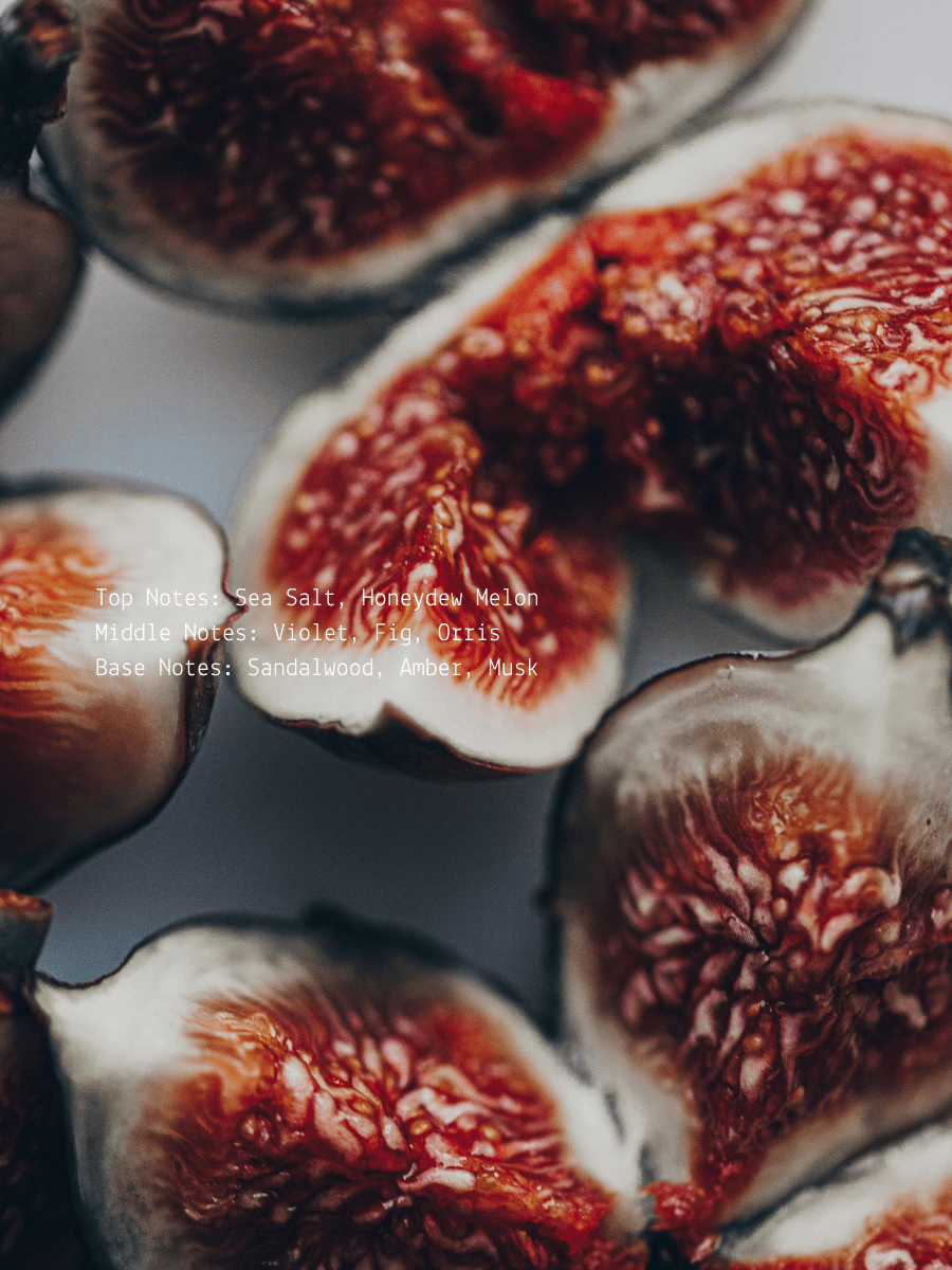 Sea Salt + Orchid Fig Tantra Wellness Candle