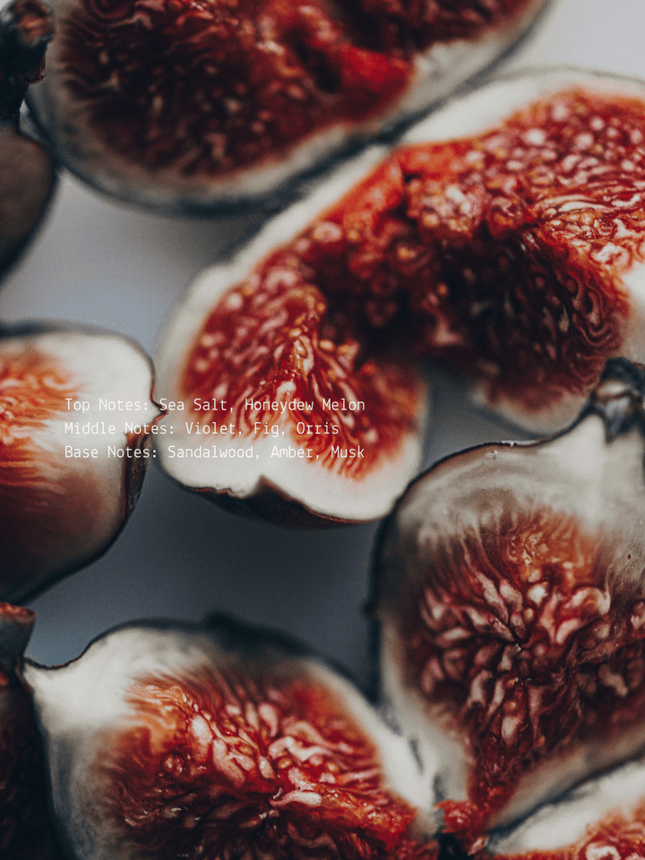 Sea Salt + Orchid Fig Tantra Wellness Candle